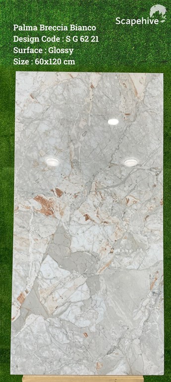 Gạch Ấn Độ 60x120cm SG6221