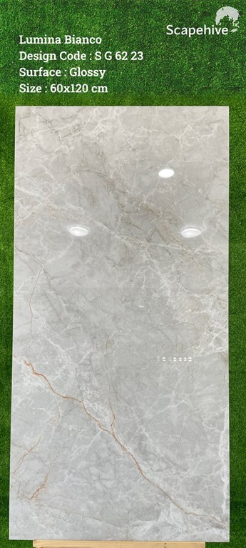 Gạch Ấn Độ 60x120cm SG6223 