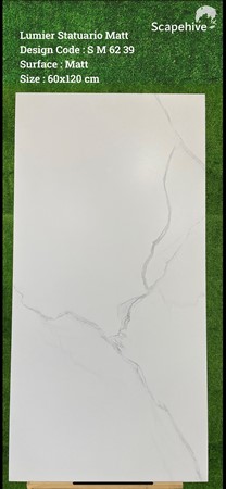 Gạch Ấn Độ 60x120cm SM6239