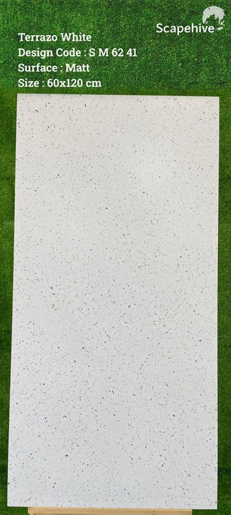 Gạch Ấn Độ 60x120cm SM6241