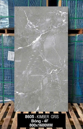 Gạch Ấn Độ 80x160cm 8605 bóng 