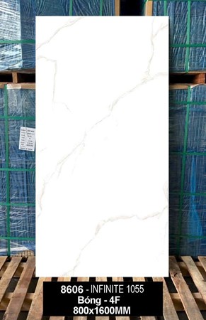 Gạch Ấn Độ 80x160cm 8606 bóng 