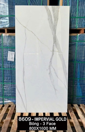 Gạch Ấn Độ 80x160cm 8609 bóng 