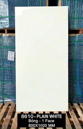 Gạch Ấn Độ 80x160cm 8610 bóng 