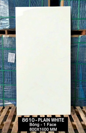 Gạch Ấn Độ 80x160cm 8610 bóng 