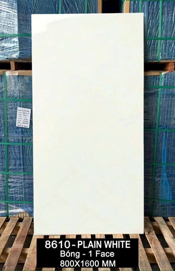 Gạch Ấn Độ 80x160cm 8610 bóng 