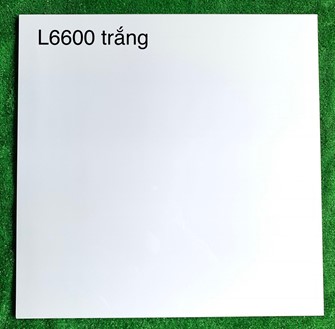 Gạch bóng kiếng Hà Thanh 60x60cm L6600