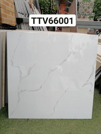Gạch bóng kiếng Hà Thanh 60x60cm TTV6601