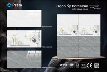 Gạch CMC 30x60cm bóng kiếng PSG3060084-S3