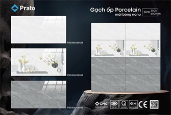 Gạch CMC 30x60cm bóng kiếng PSG3060084-S3