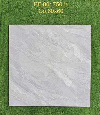 Gạch Hoàn Mỹ 60x60cm PE 75011
