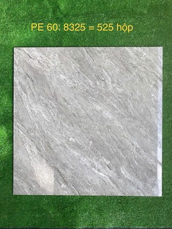 Gạch Hoàn Mỹ 60x60cm PE 8325