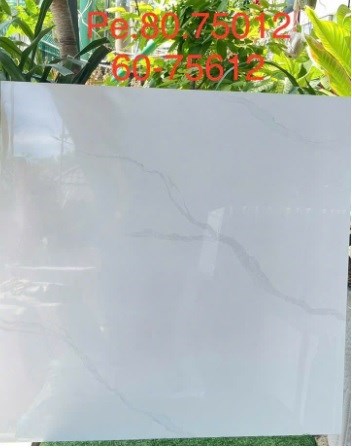 Gạch Hoàn Mỹ 60x60cm PE75612