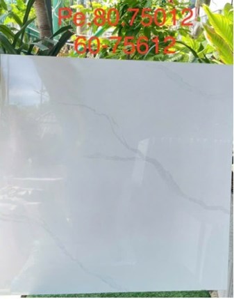 Gạch Hoàn Mỹ 60x60cm PE75612