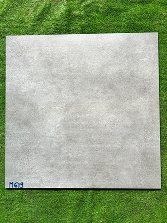 Gạch men mờ 60x60cm CELIA M619