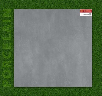 Gạch PRIME 60x60cm đá mờ 66134M