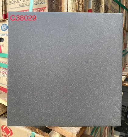 Gạch Taicera 30x30cm G38029