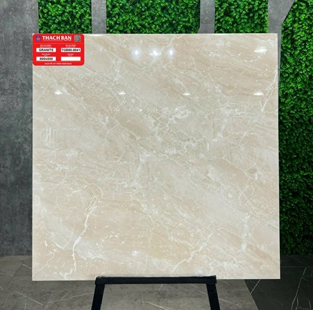 Gạch Thạch Bàn 80x80cm TGB80-0041