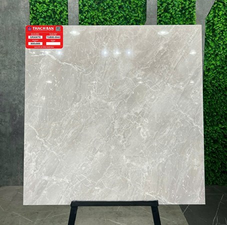 Gạch Thạch Bàn 80x80cm TGB80-0042