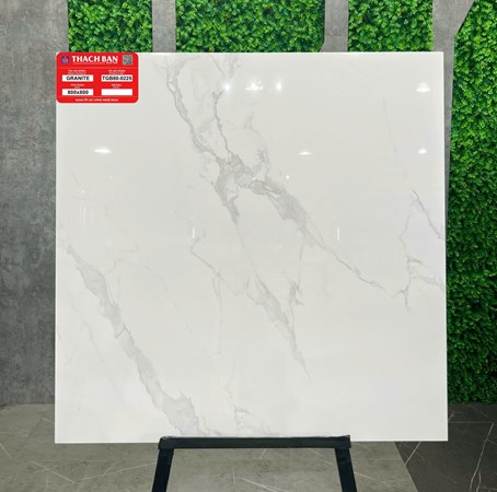 Gạch Thạch Bàn 80x80cm TGB80-0225