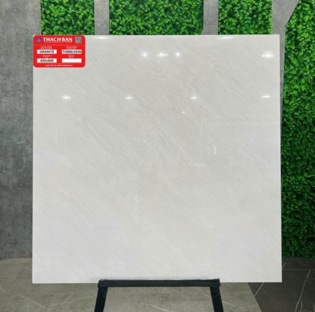 Gạch Thạch Bàn 80x80cm TGB80-0226
