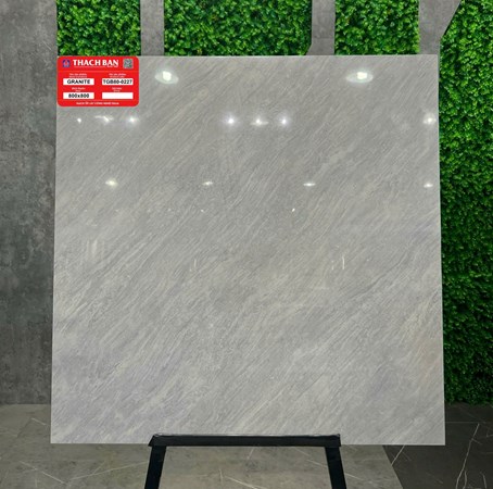 Gạch Thạch Bàn 80x80cm TGB80-0227
