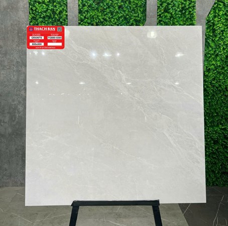 Gạch Thạch Bàn 80x80cm TGB80-0265