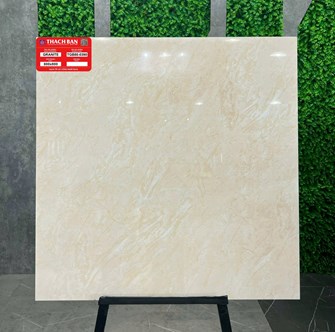 Gạch Thạch Bàn 80x80cm TGB80-0390