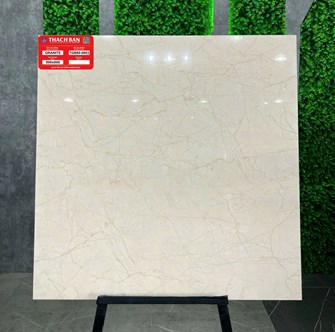 Gạch Thạch Bàn 80x80cm TGB80-0853