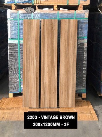 Gạch Vân gỗ 20 x 120cm Ấn Độ 2203