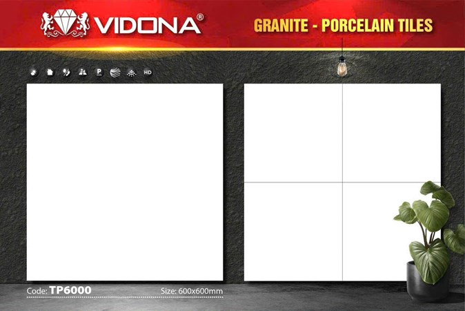 Gạch VIDONA 60x60cm Porcelain TP6000