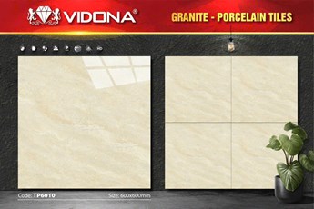 Gạch VIDONA 60x60cm Porcelain TP6010