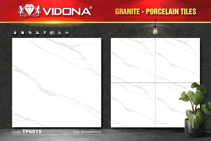 Gạch VIDONA 60x60cm Porcelain TP6015