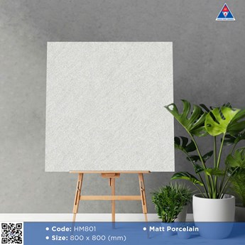 Gạch Viglacera 80x80cm Mờ HM801
