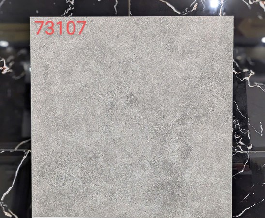 Gạch VITTO 60x60cm 73107 Matt