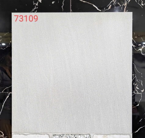 Gạch VITTO 60x60cm 73109 Matt