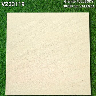 Đá đồng chất 30x30 cm VZ33119
