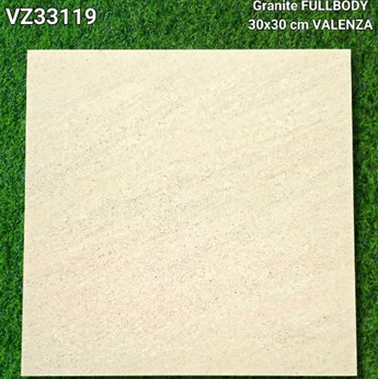 Đá đồng chất 30x30 cm VZ33119
