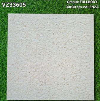 Đá đồng chất 30x30 cm VZ33605