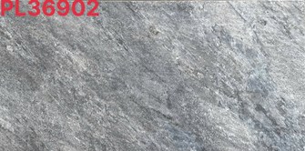 Đá đồng chất 30x60cm PL36902