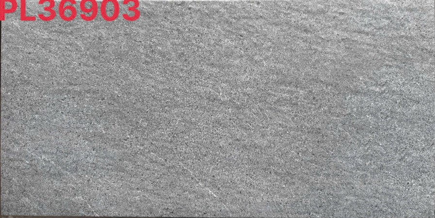 Đá đồng chất 30x60cm PL36903