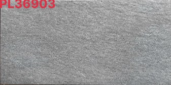 Đá đồng chất 30x60cm PL36903