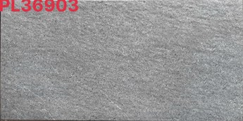 Đá đồng chất 30x60cm PL36903