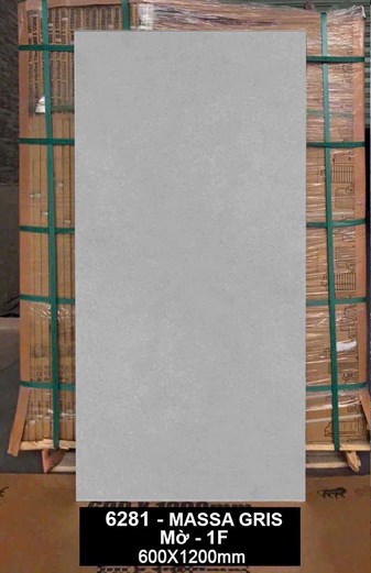 Gạch Ấn Độ 60x120cm 6281 Mờ 