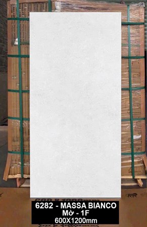 Gạch Ấn Độ 60x120cm 6282 Mờ 
