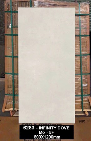 Gạch Ấn Độ 60x120cm 6283 Mờ 
