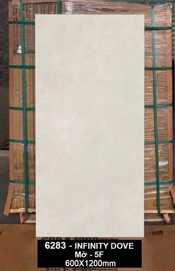 Gạch Ấn Độ 60x120cm 6283 Mờ 