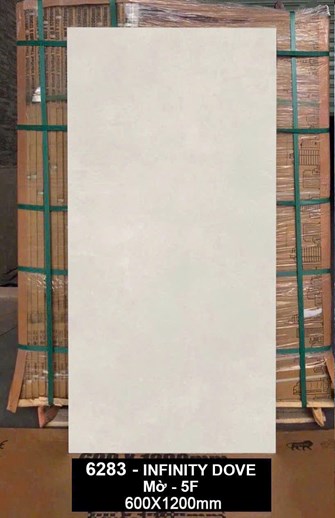 Gạch Ấn Độ 60x120cm 6283 Mờ 