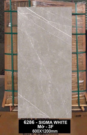 Gạch Ấn Độ 60x120cm 6286 Mờ 