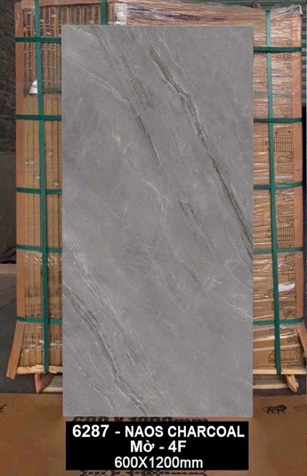 Gạch Ấn Độ 60x120cm 6287 Mờ 